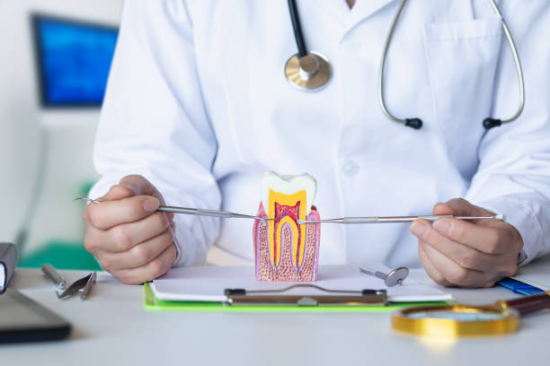 Best Emergency Dental Extractions in Medpolis, IA